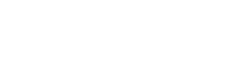 PVH logo